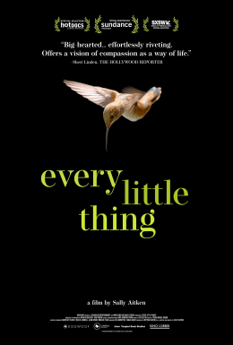 MOVIE - "EVERY LITTLE THING"